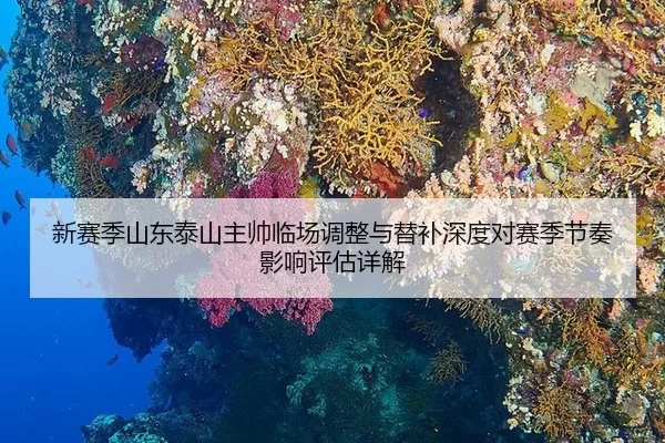新赛季山东泰山主帅临场调整与替补深度对赛季节奏影响评估详解